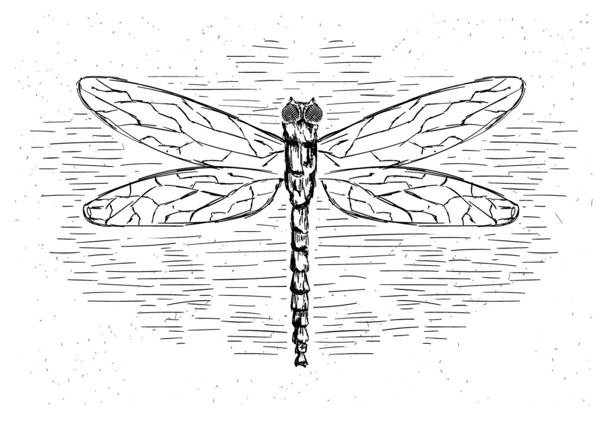 Кисточка Стрекоза для рисования