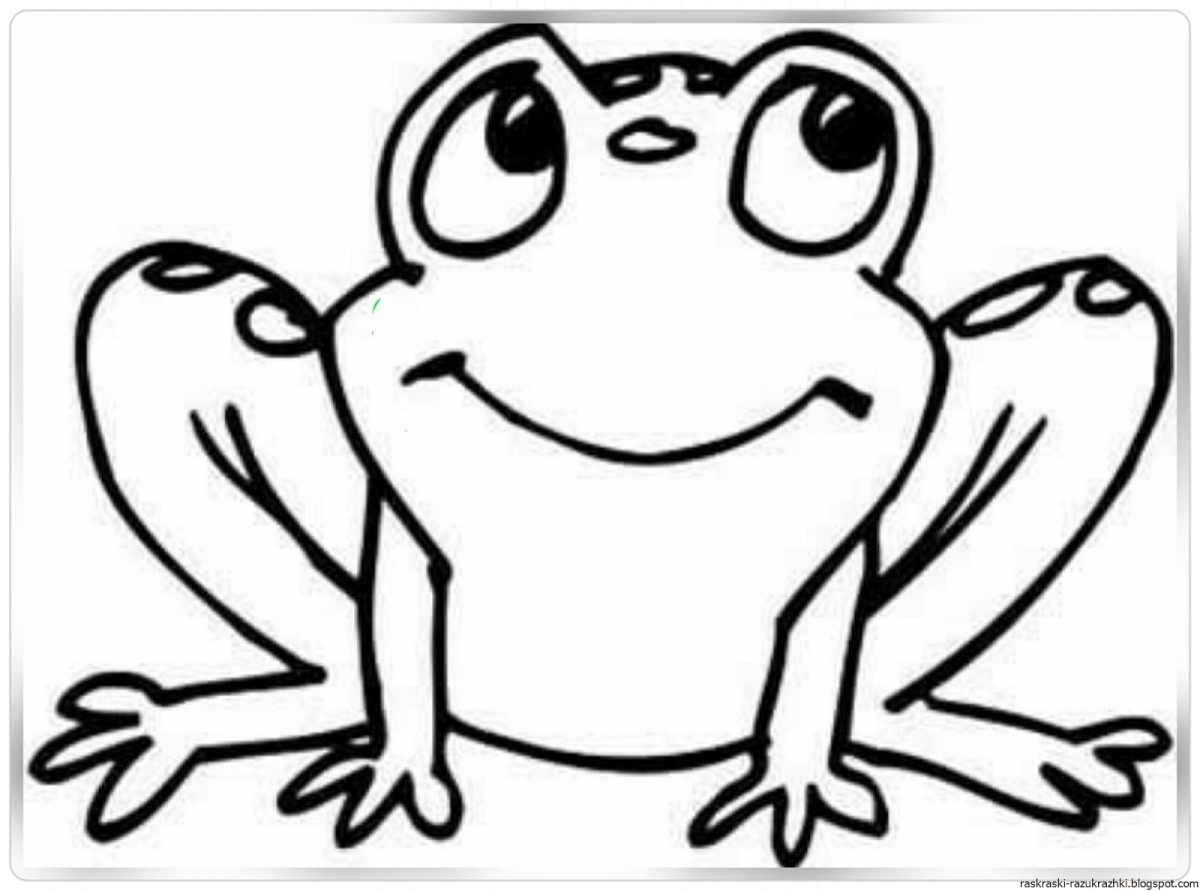 Раскраска лягушки из пинтереста
