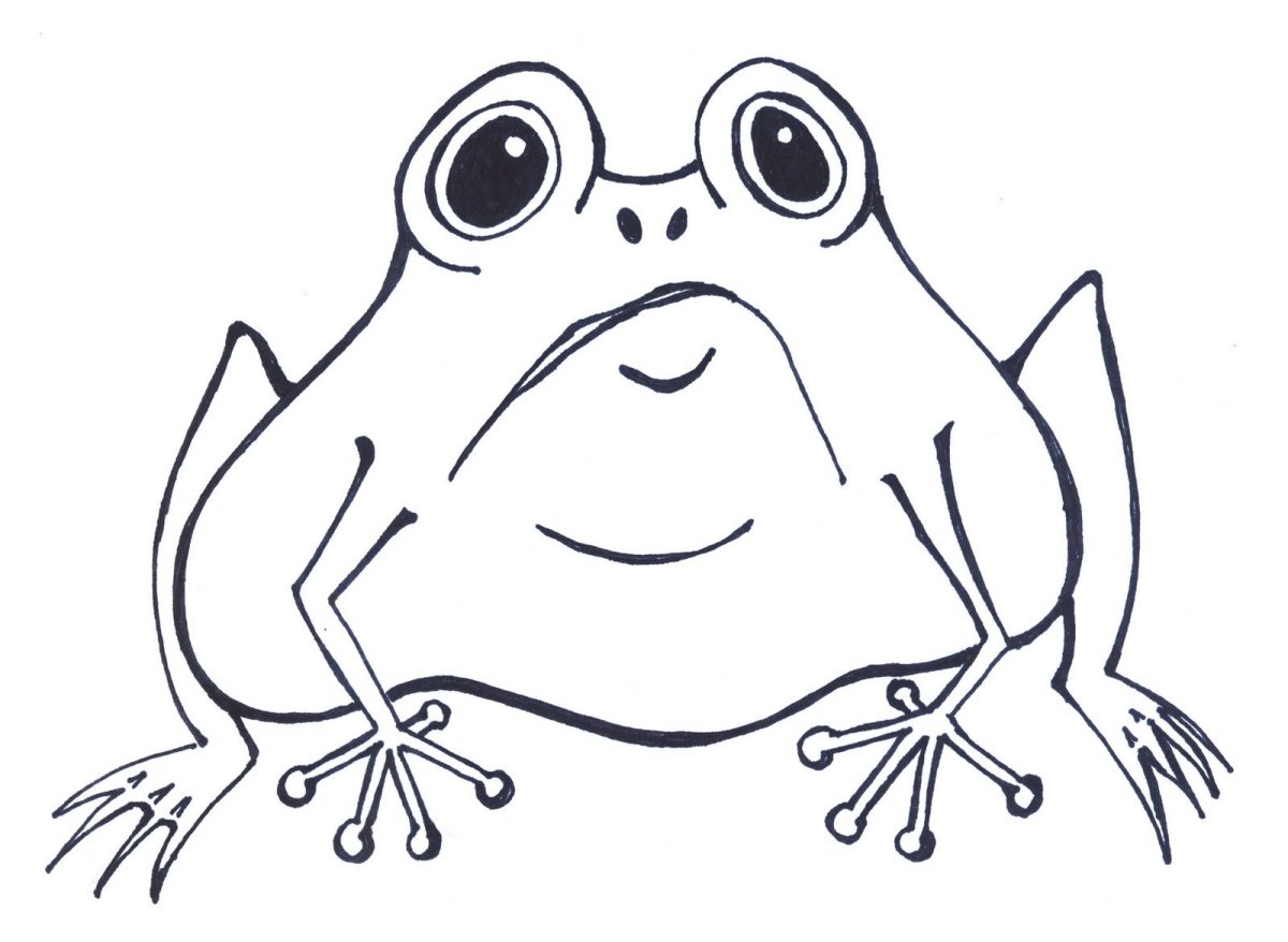 Жаба вектор контур