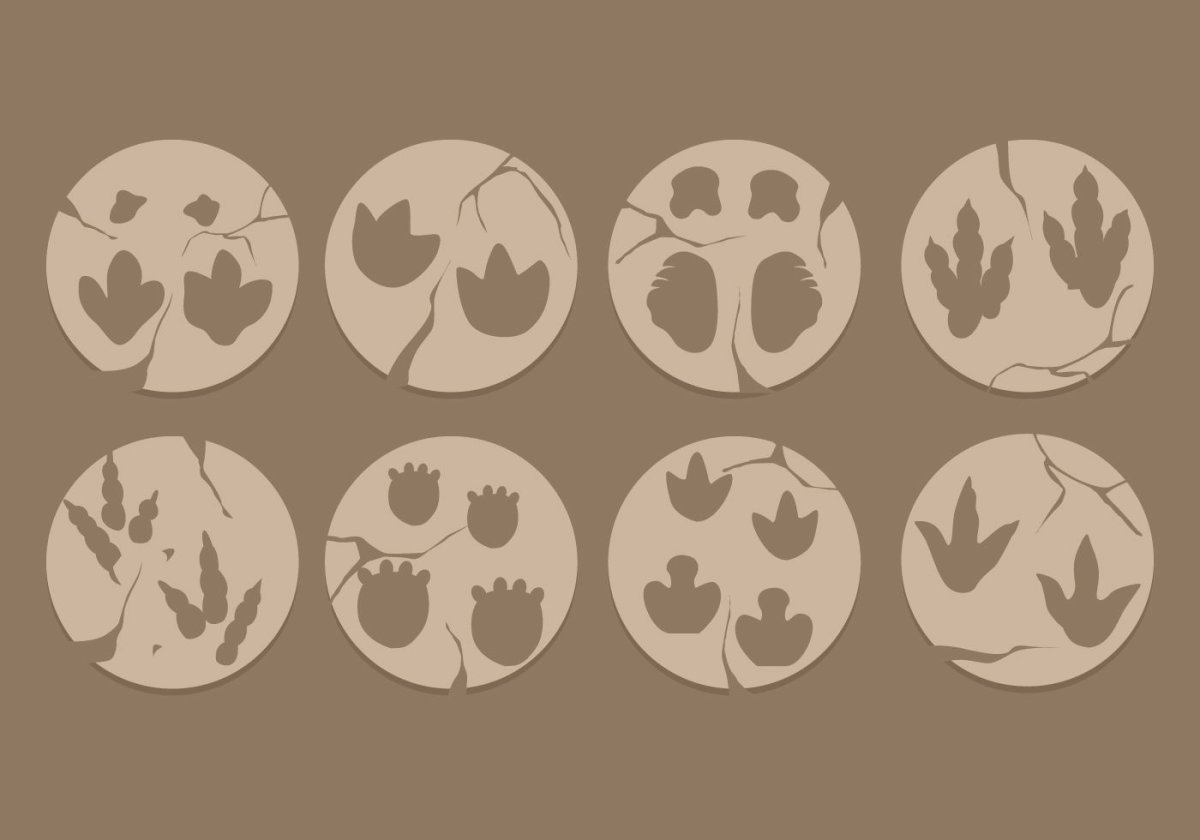 След динозавра маникюр