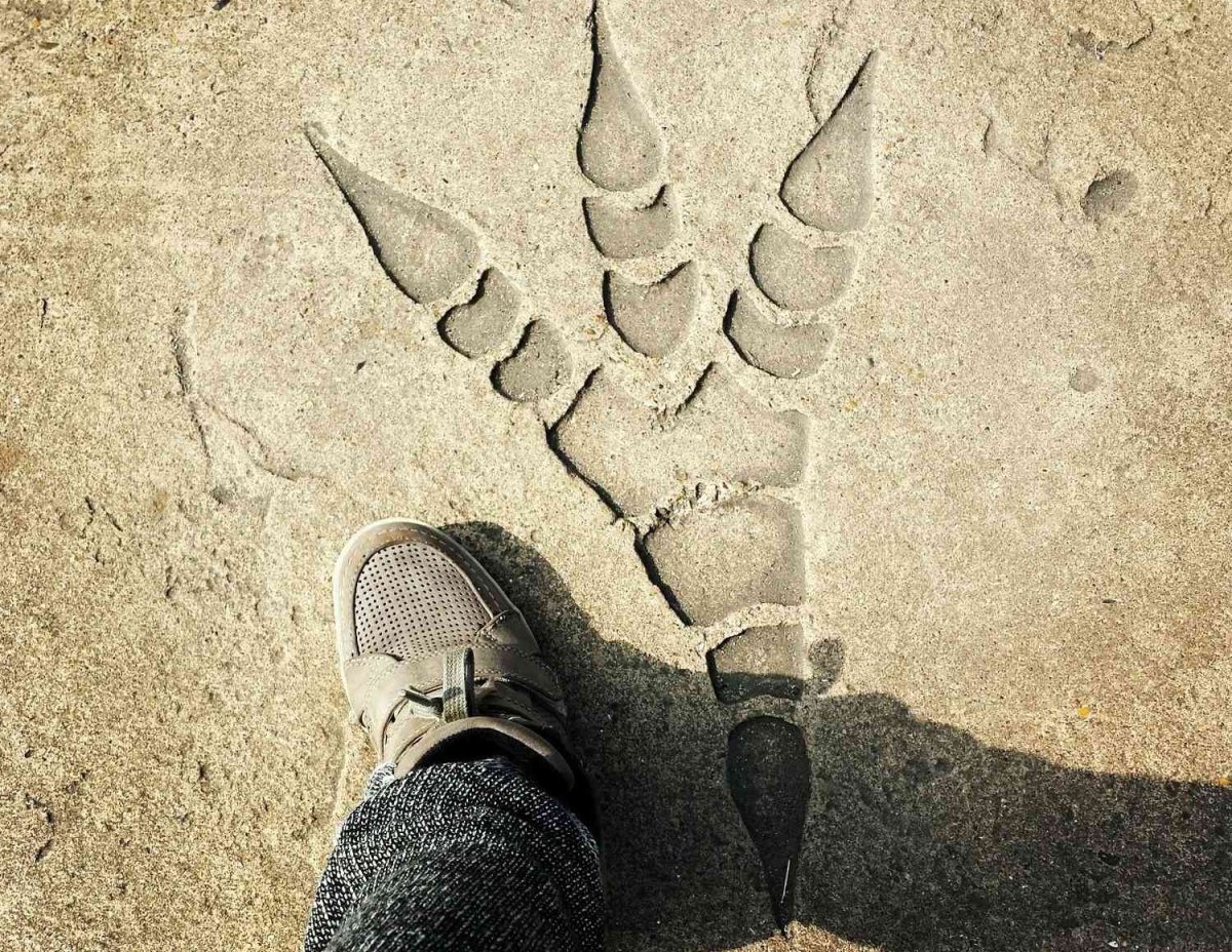 Силуэты динозавров и их следов