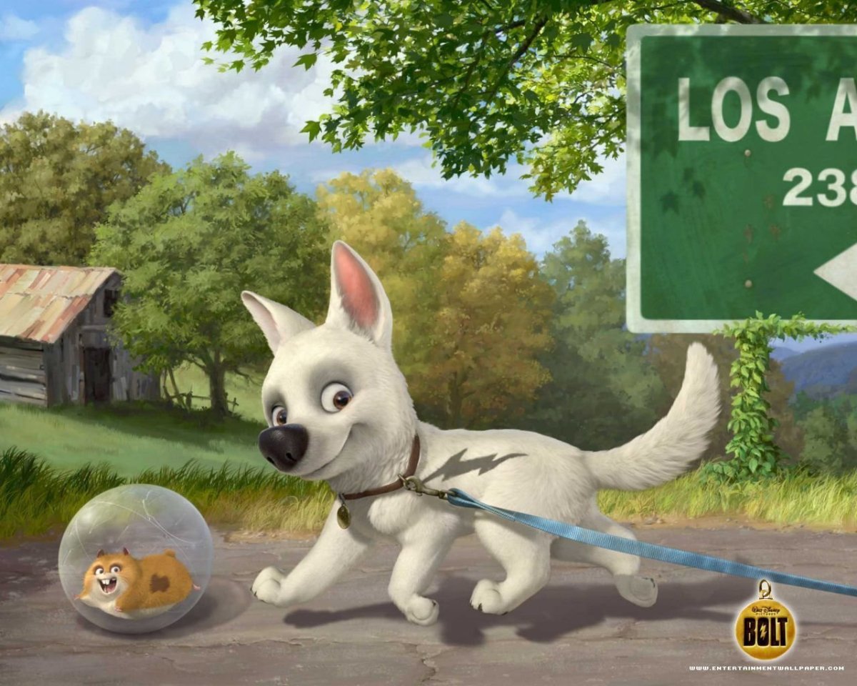 Как выглядит вольт