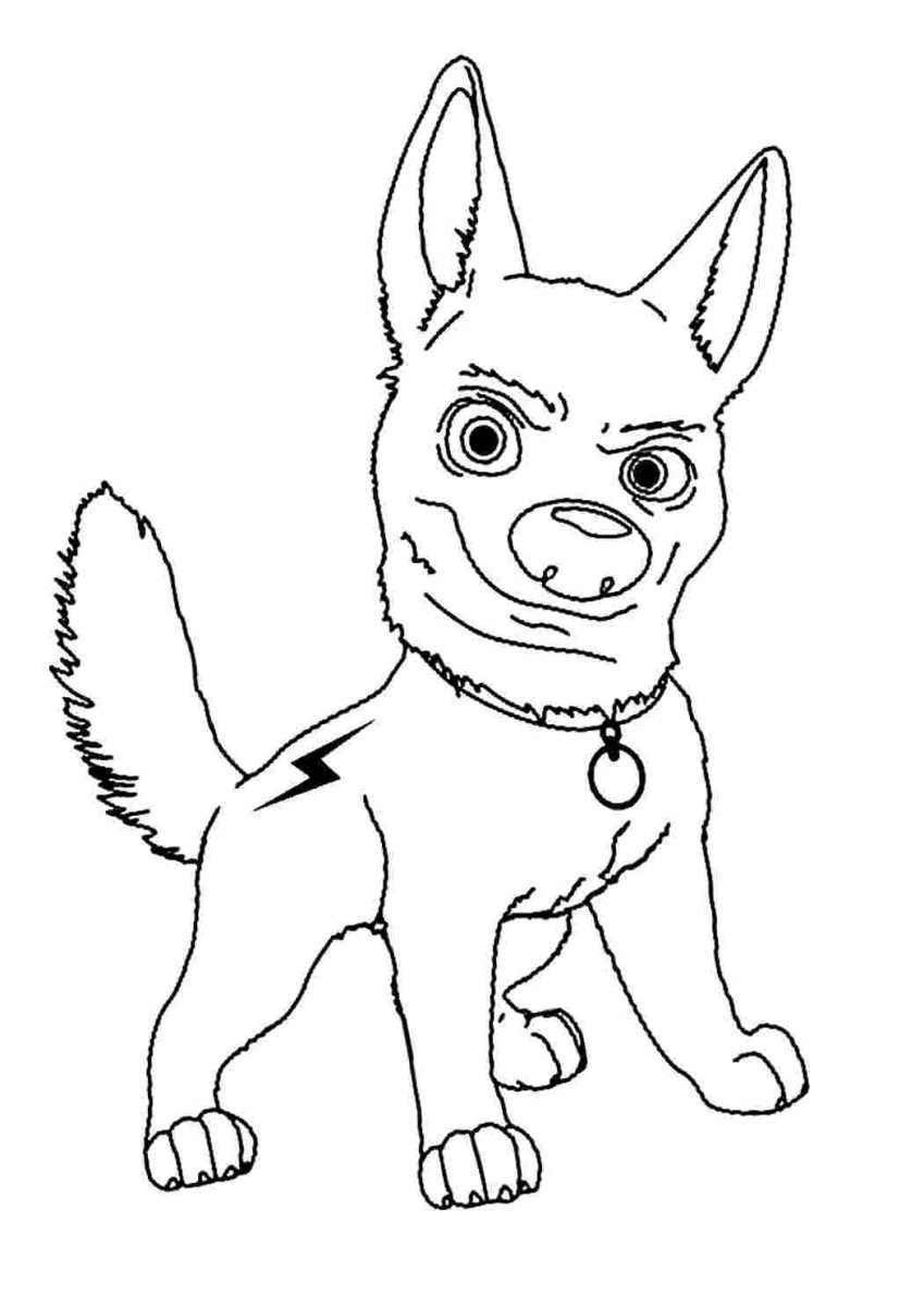 Раскраска. Вольт