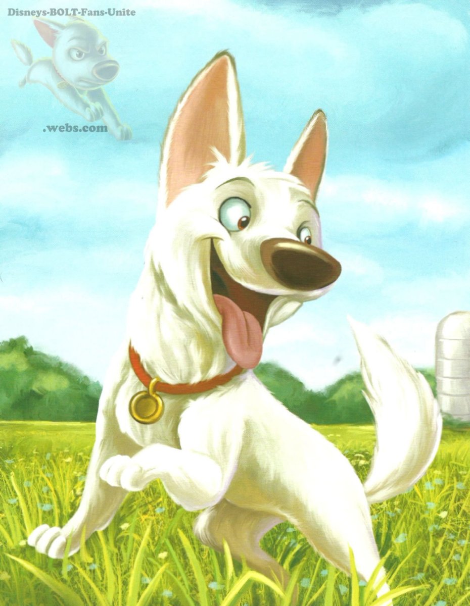 Вольт и лайка