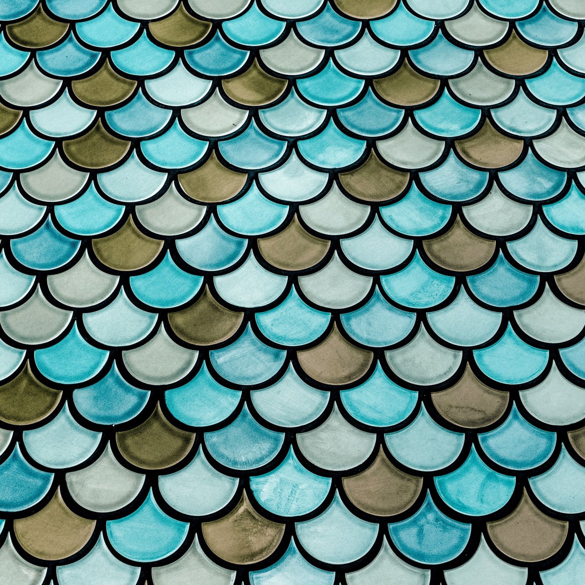 Чешуя Раморы