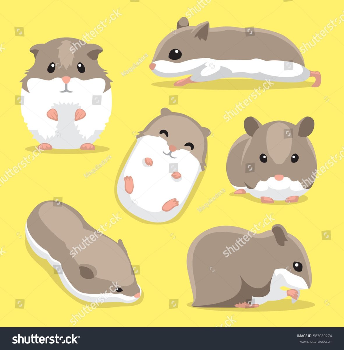 Смешной хомяк рисунок