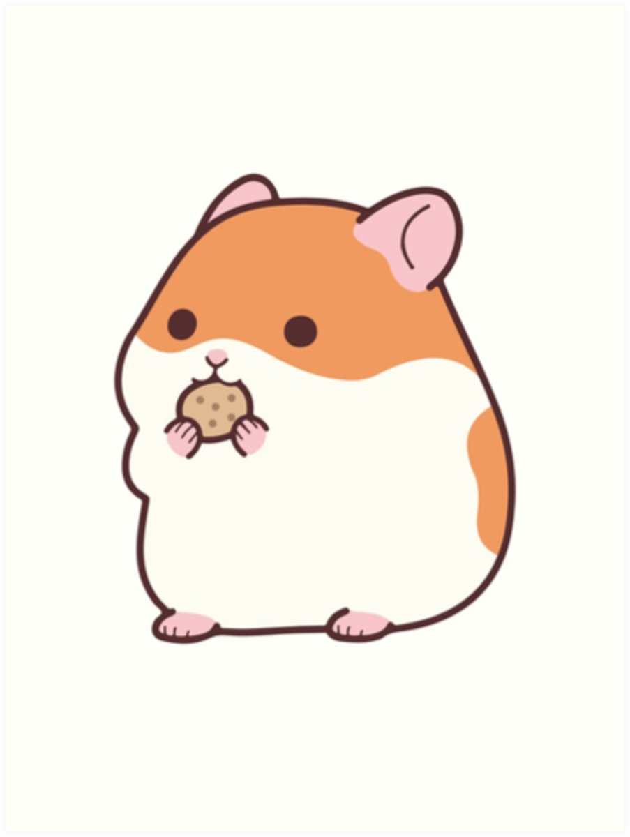 Хомяк джунгарский