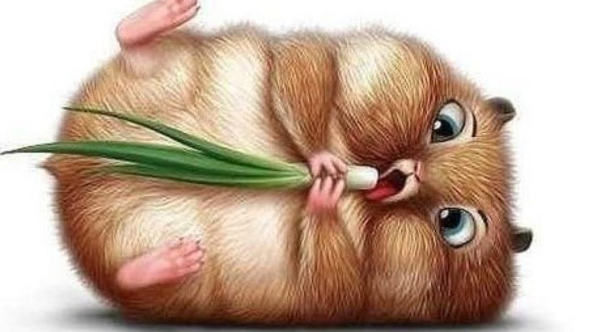 Наклейки "милые животные"