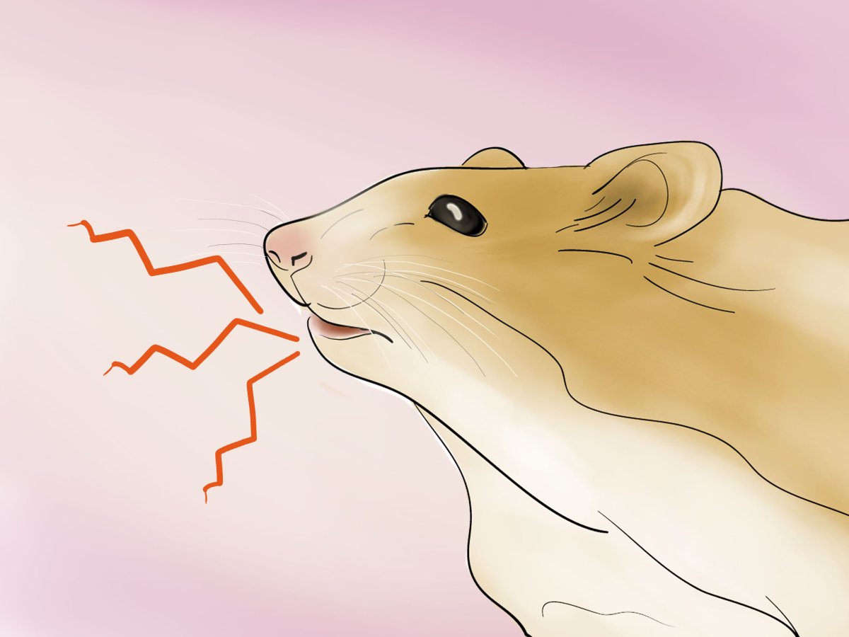 Хомячок мультяшный