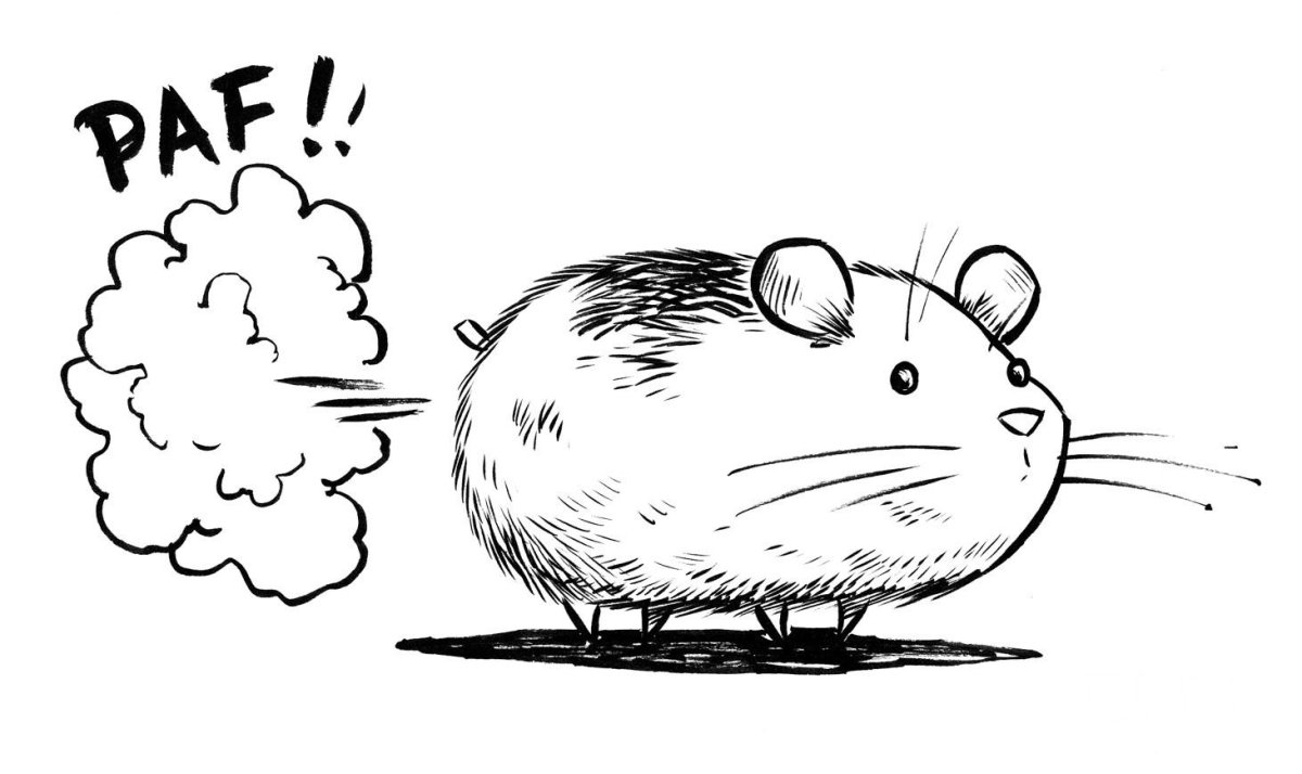 Хомяк рисунок