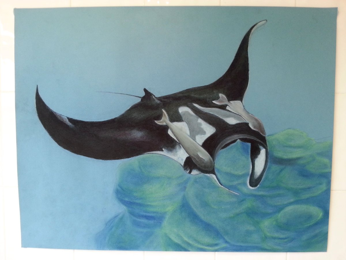 Скат Манта арт