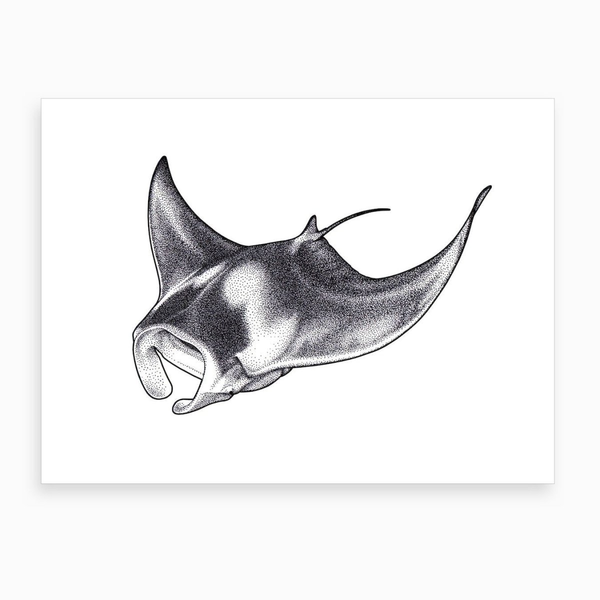 Скат Манта наколка