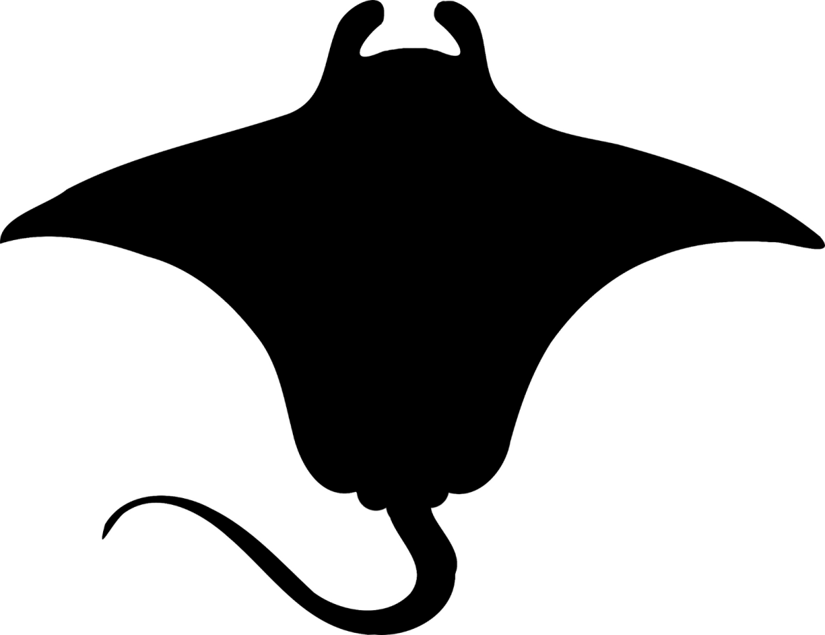 Скат Манта Графическое изображение