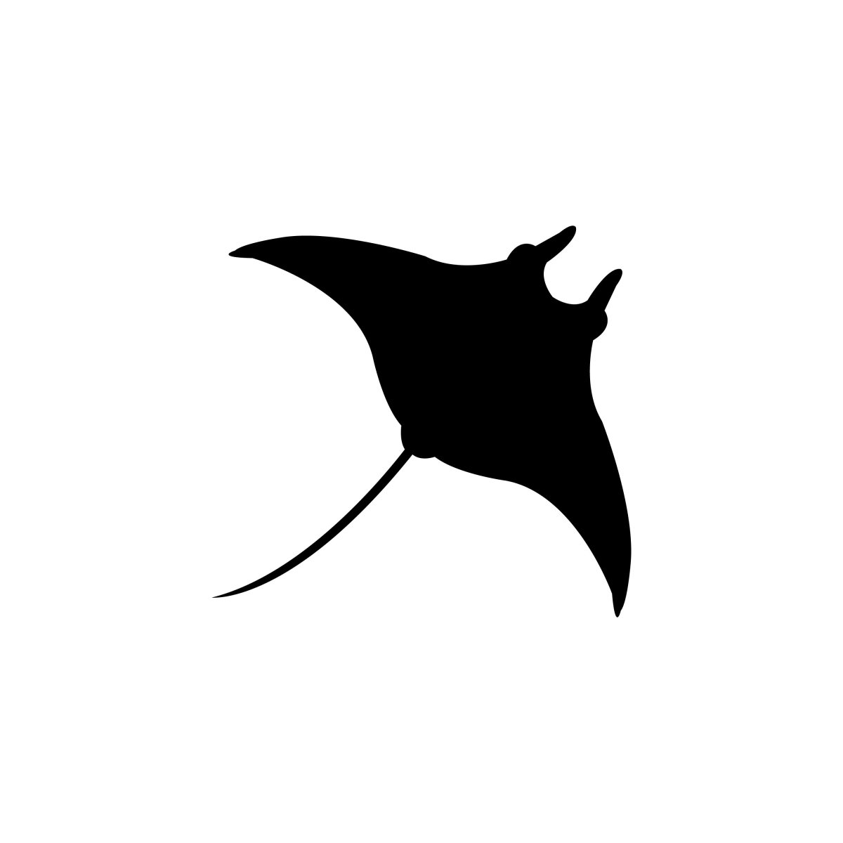 Манта Рэй вид сверху