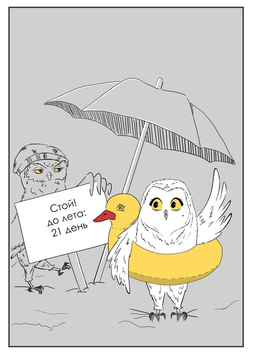 Сова в наушниках