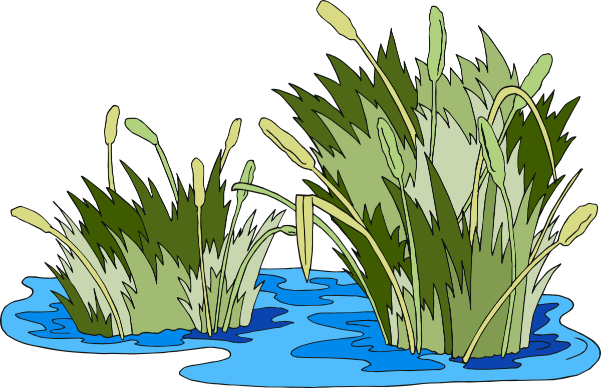 Болото карандашом