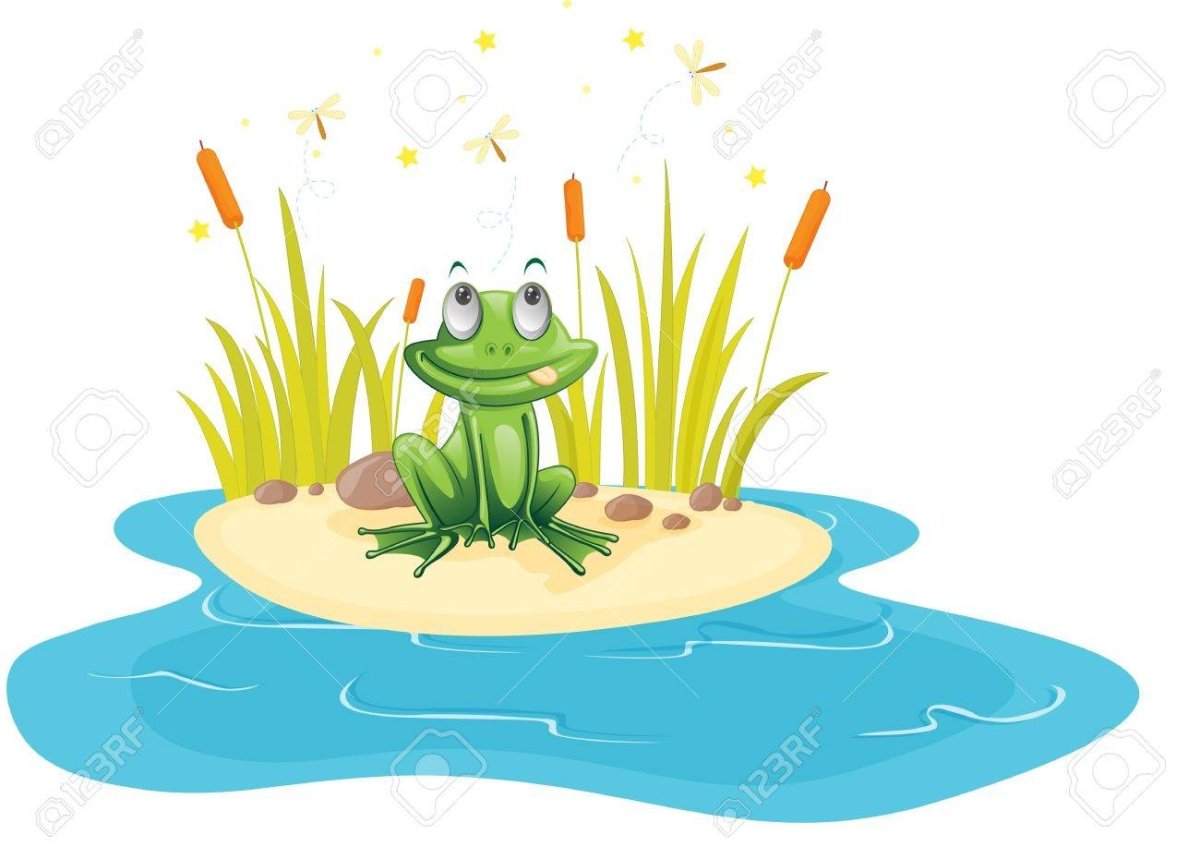 Пруд с камышами вектор