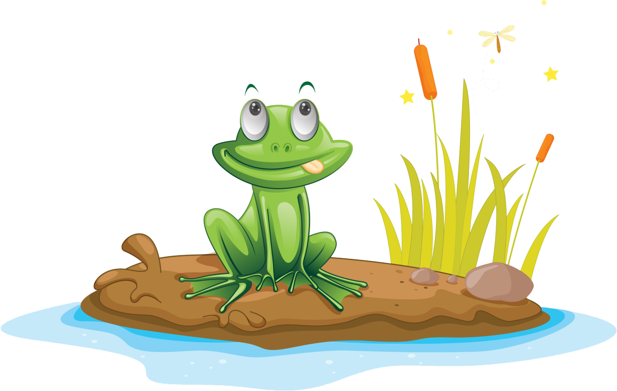 Пруд раскраска