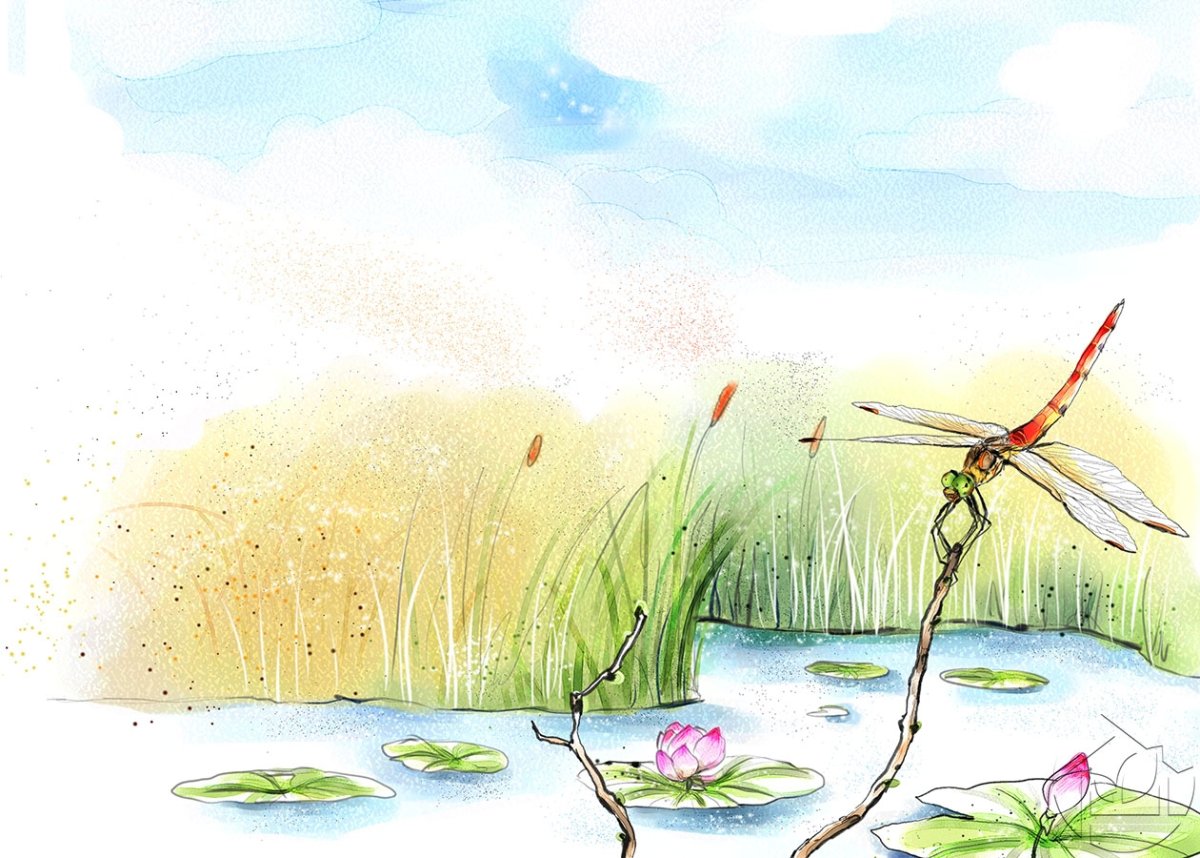 Нарисовать пруд