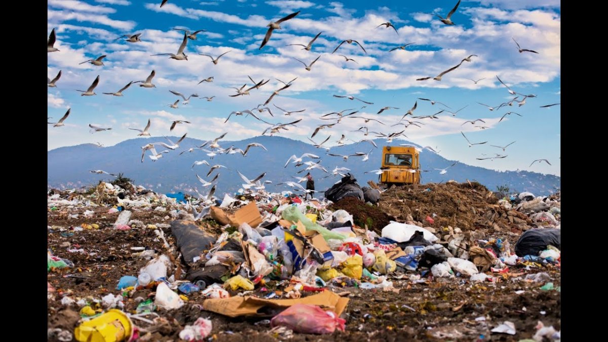 Переработка электронных отходов