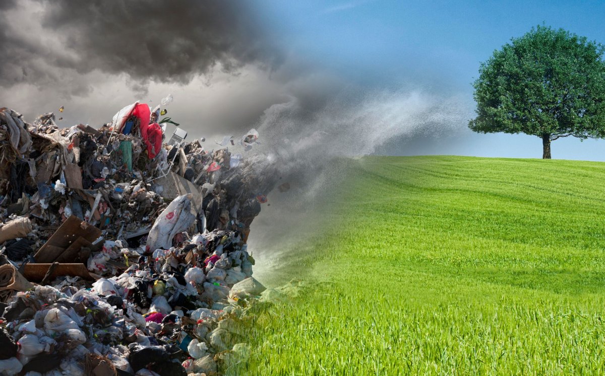 Отходы на белом фоне