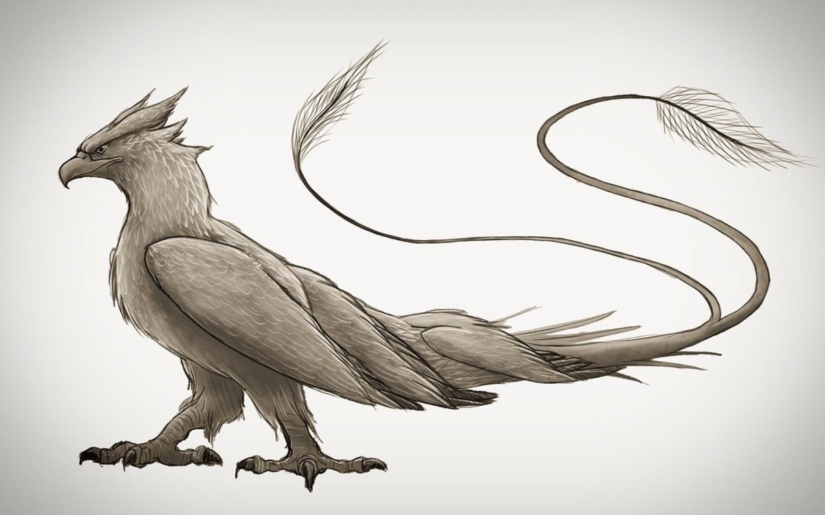 Птица Гром Гарри Поттер