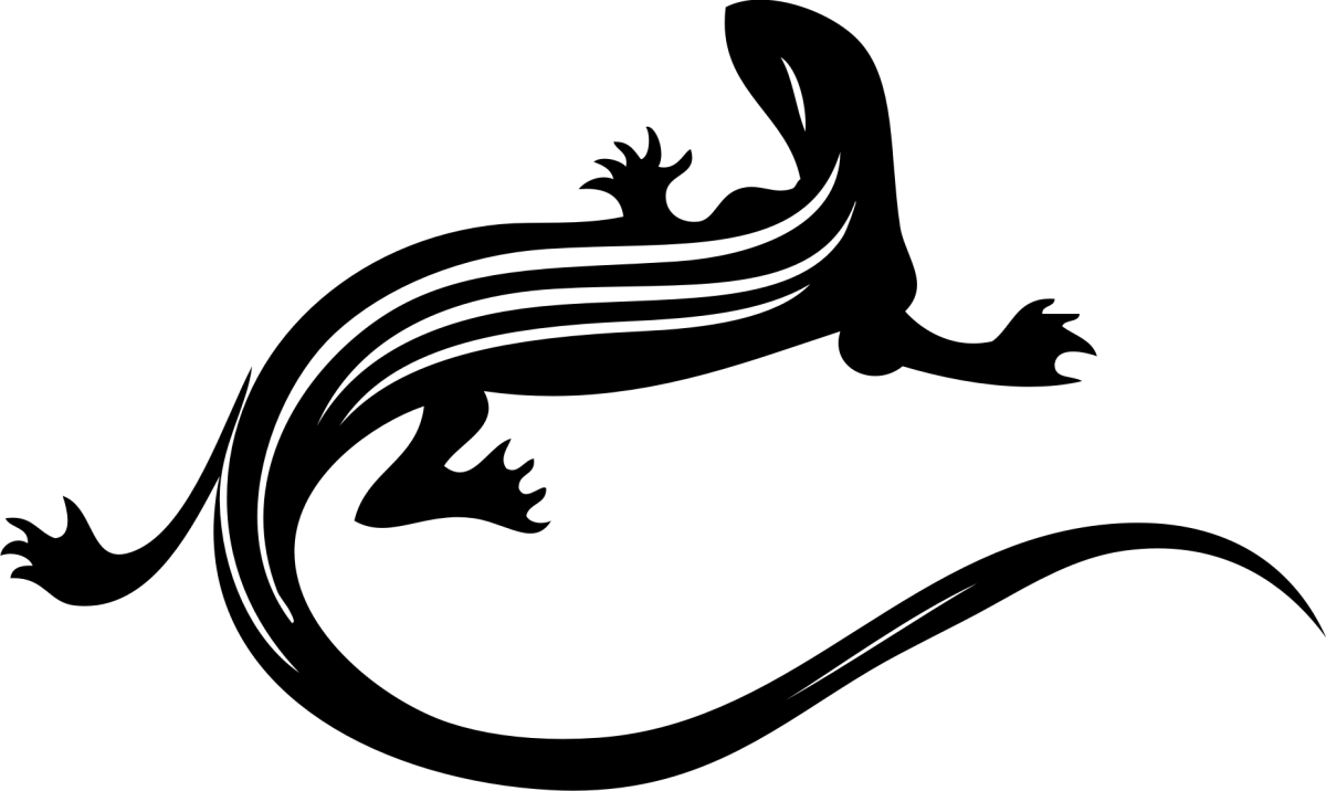 Саламандра ящерица