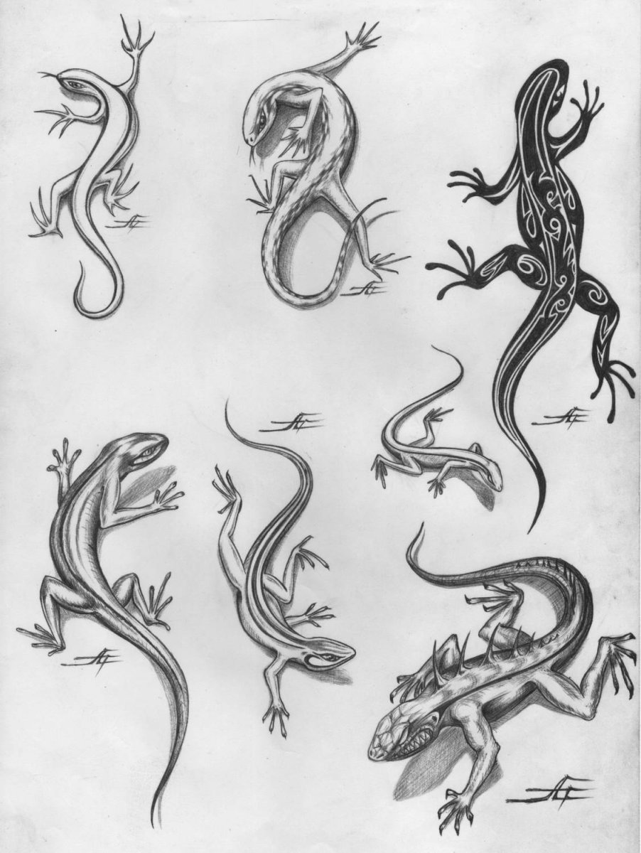 Ящерка тату эскизы