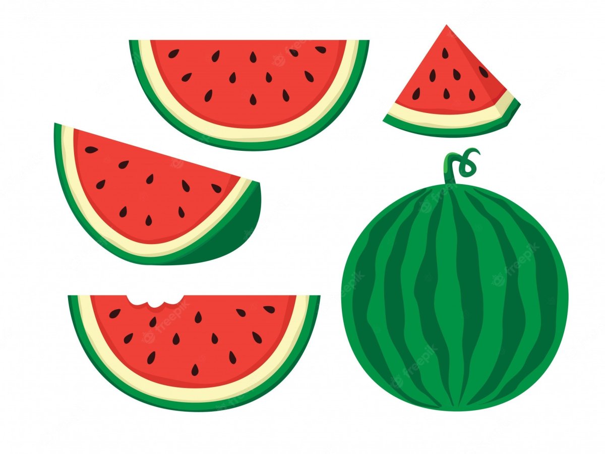 Арбуз раскраска