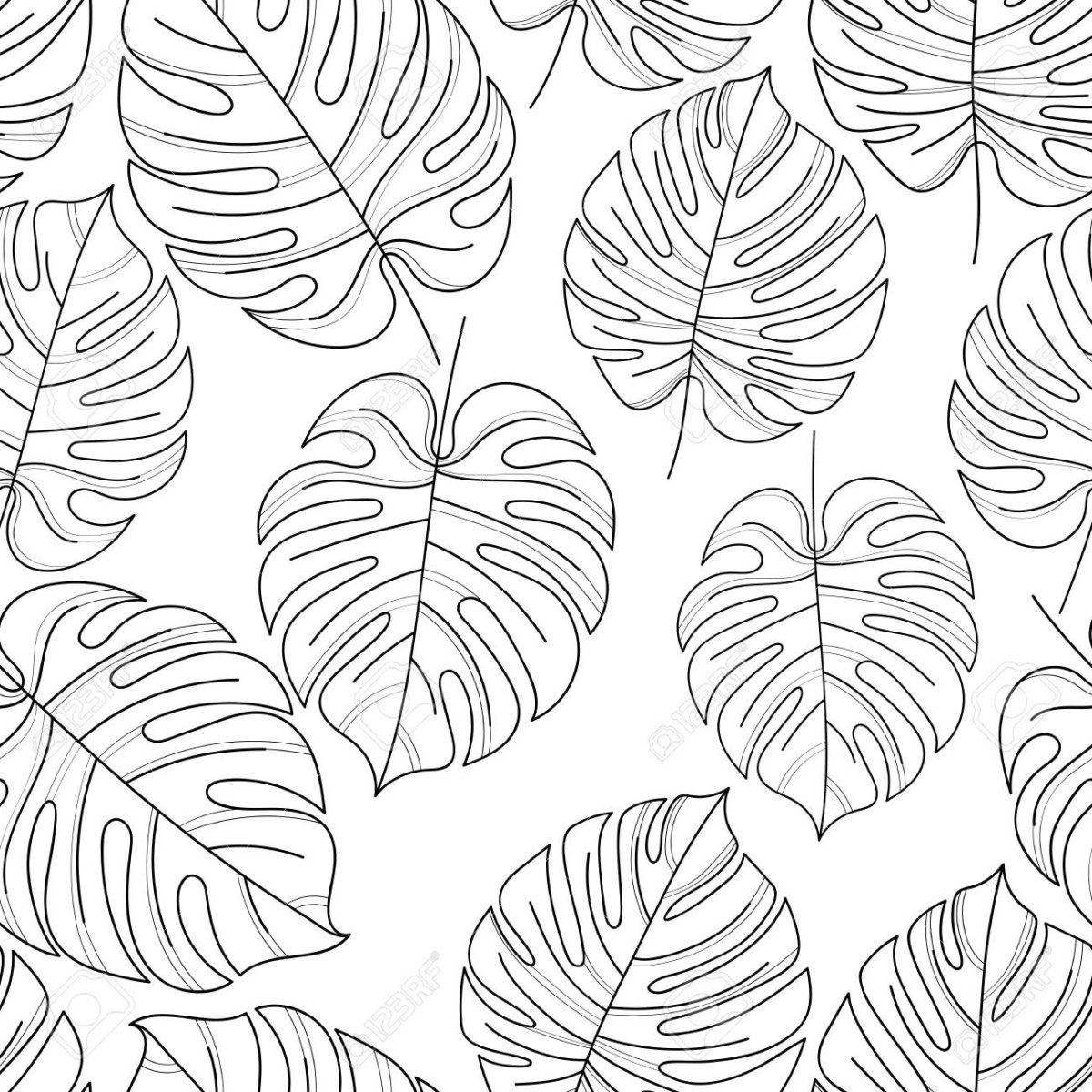 Monstera Leaf pattern