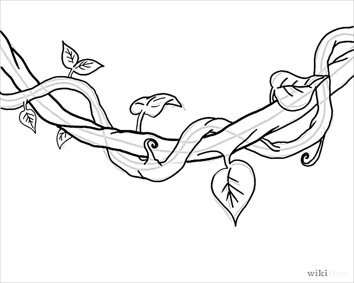 Лианы для срисовки