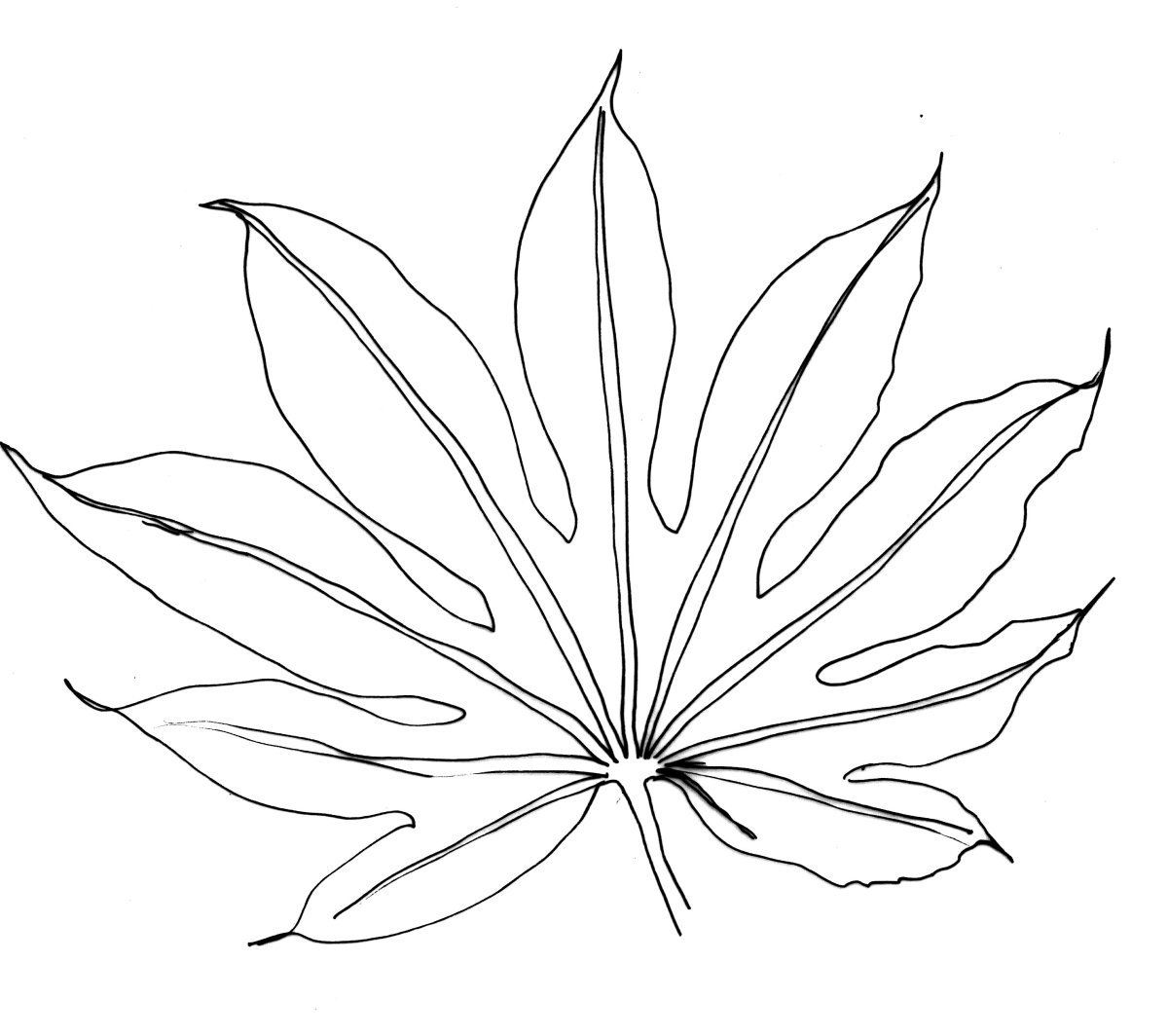 Экзотические листья трафареты