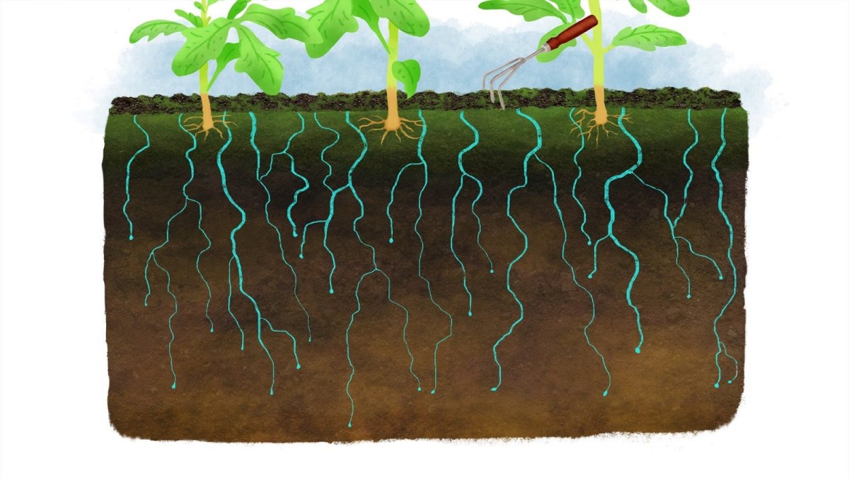 Раскраска чистая Планета для детей