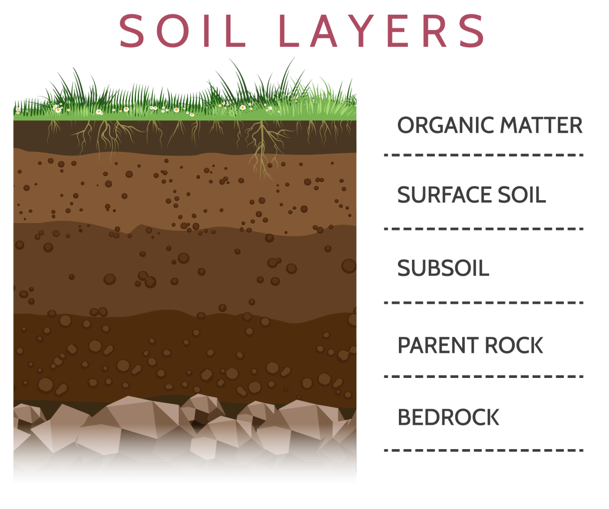 Почва иллюстрация