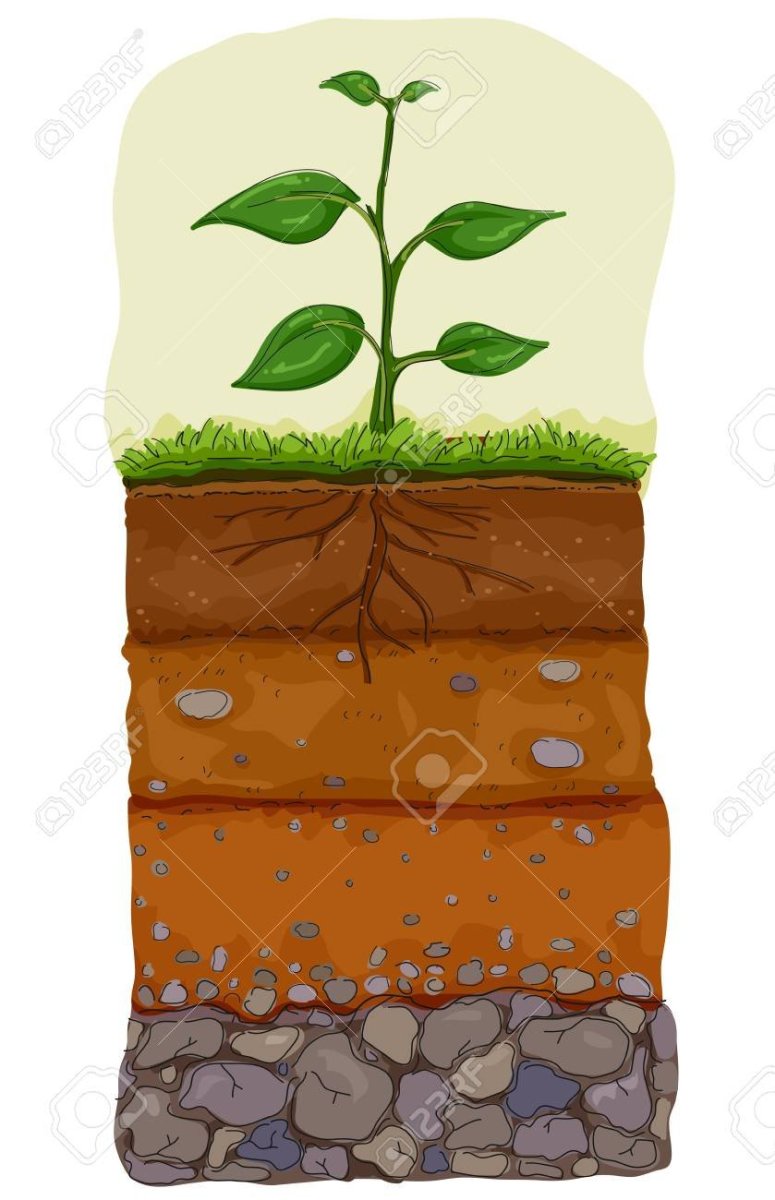 Почва рисунок