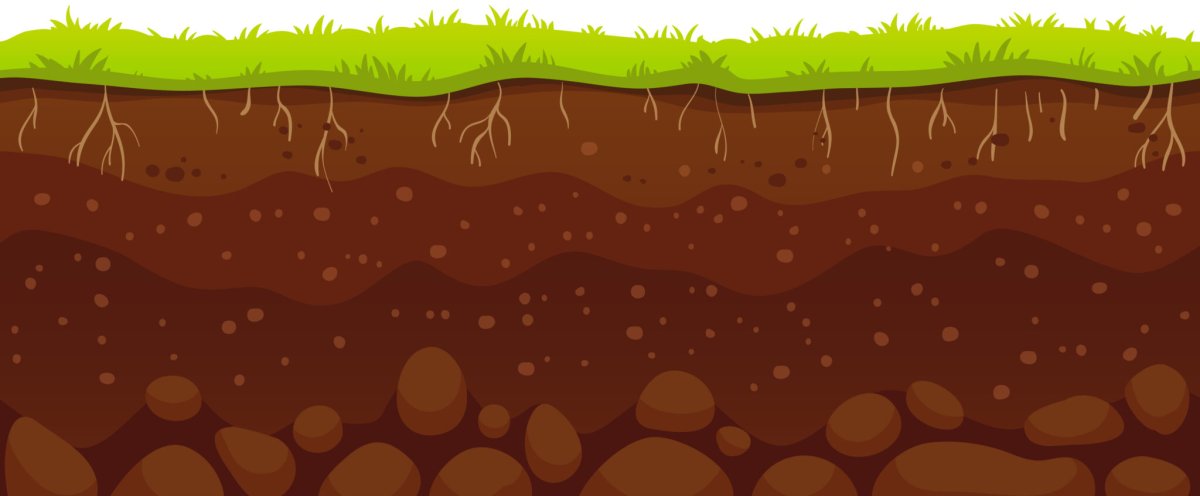 Росток раскраска для детей