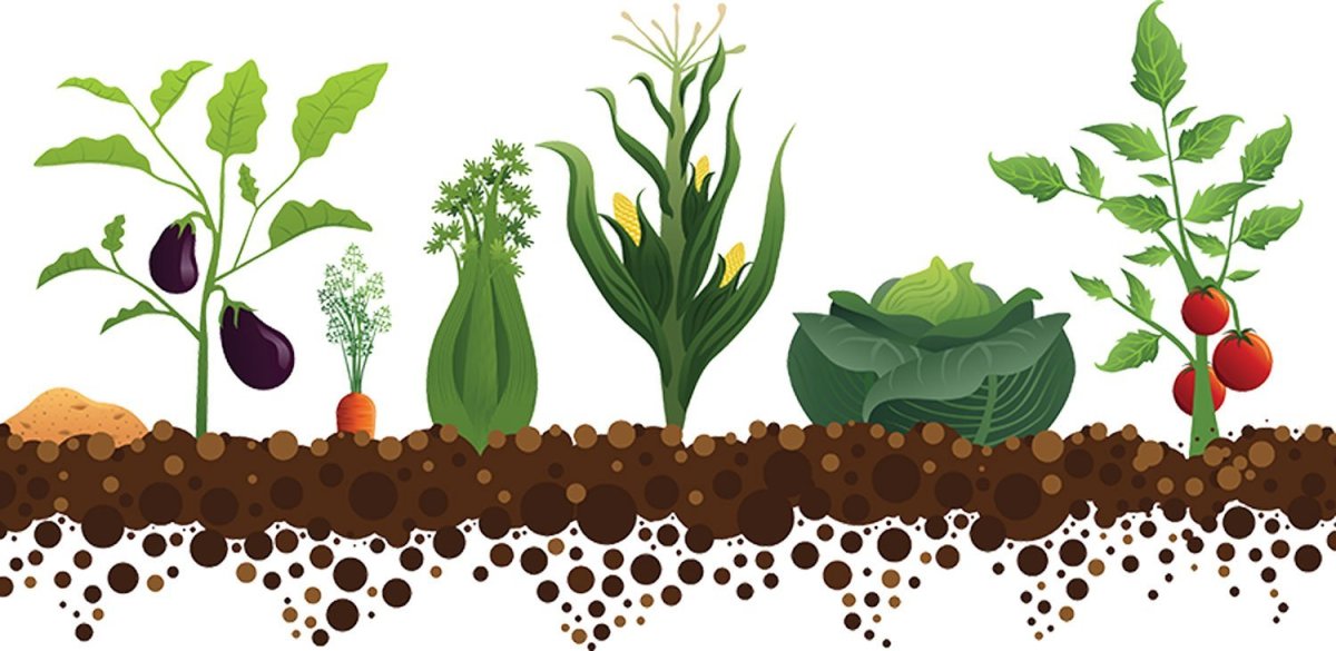 Удобрения на прозрачном фоне