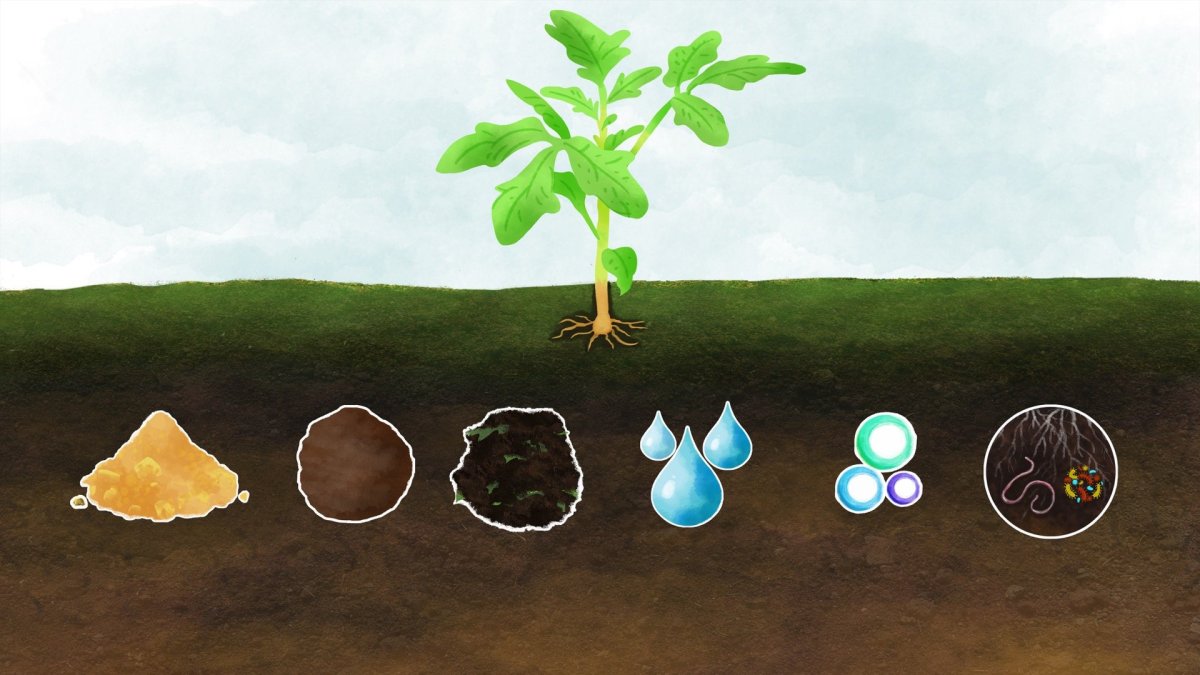 Почва в разрезе для дошкольников