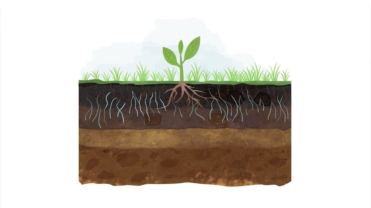 Topsoil вектор