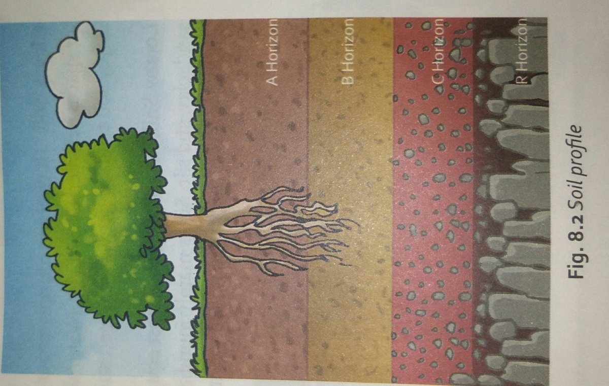 Почва вектор на прозрачном фоне