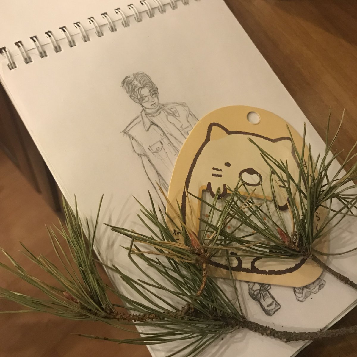 Shato illustration Пинтерест