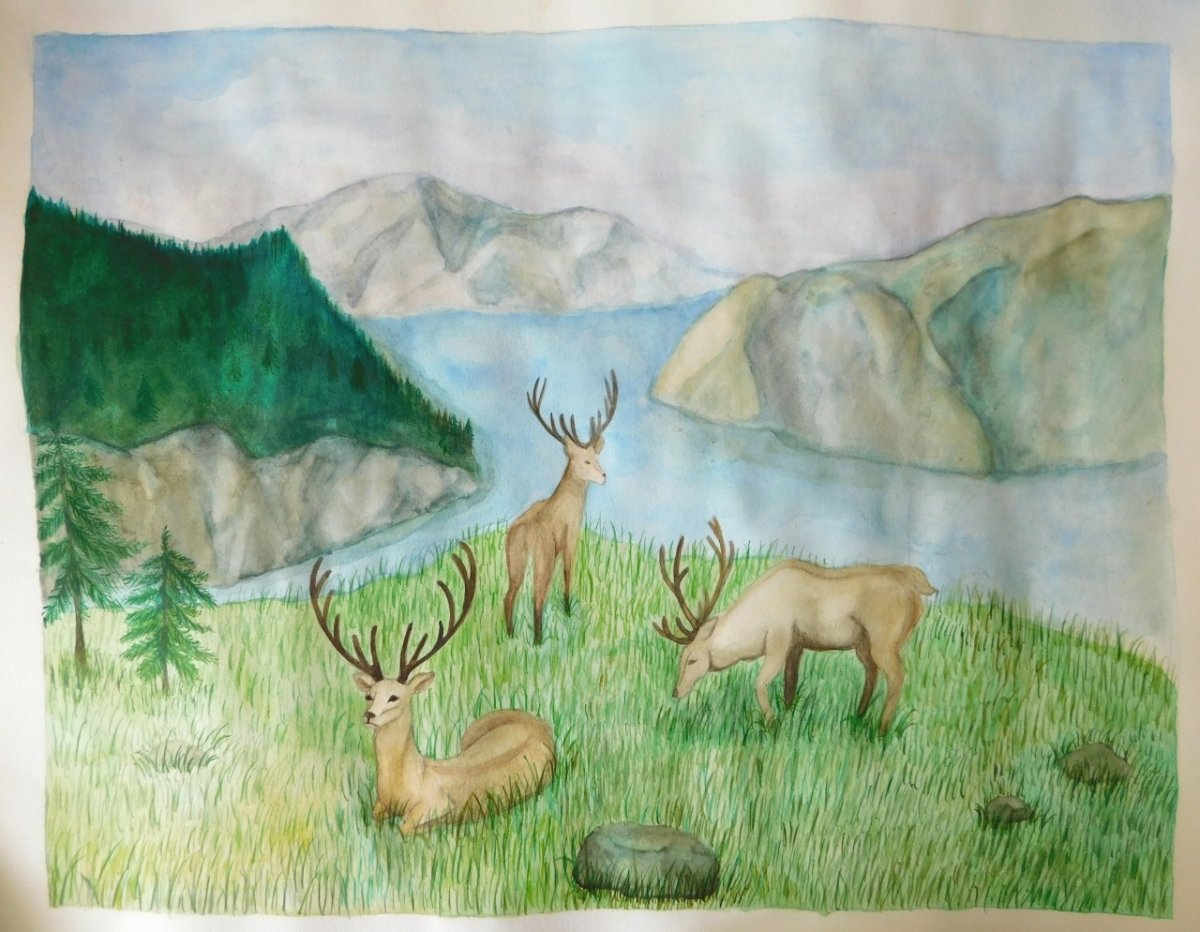 Мир заповедной природы конкурс