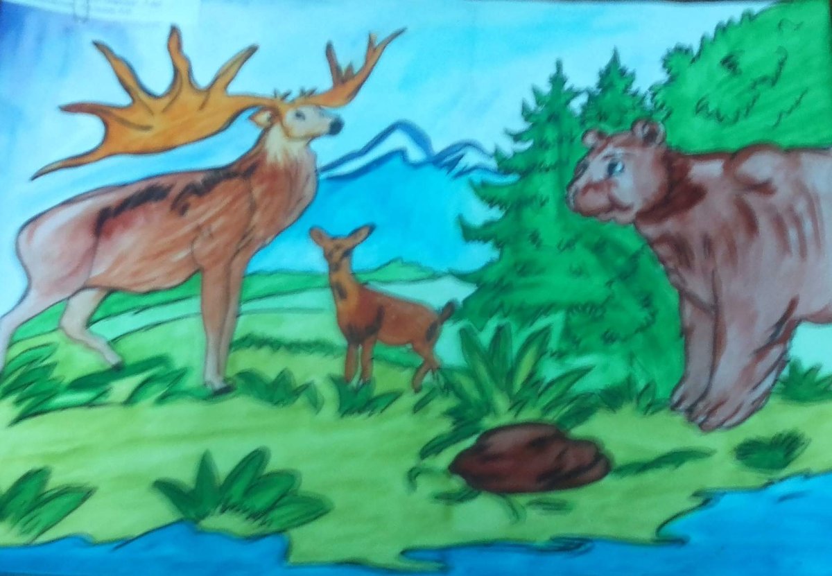 Заповедная Россия рисунки