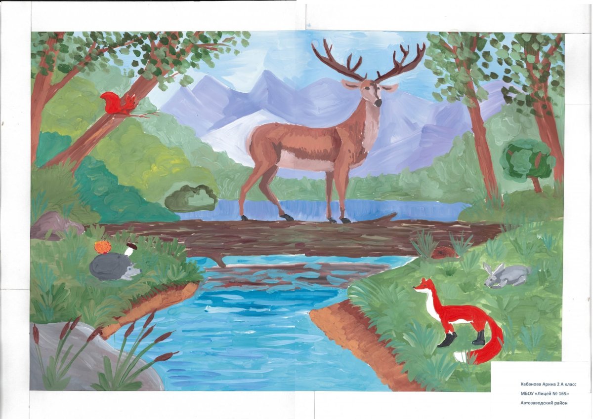 Животные из заповедника рисунки