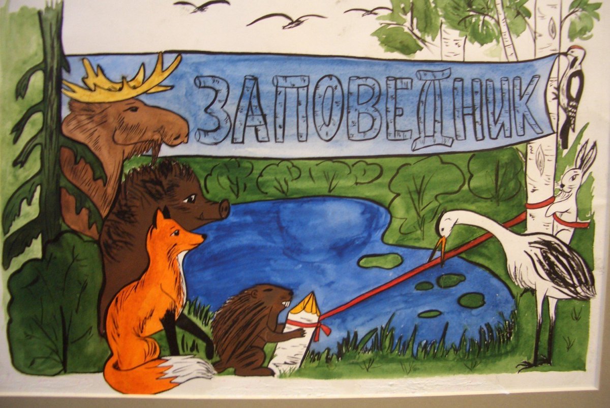 Ростовский заповедник рисунки для детей