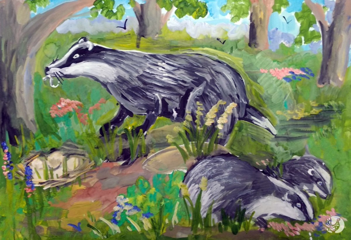 Заповедные уголки родного края