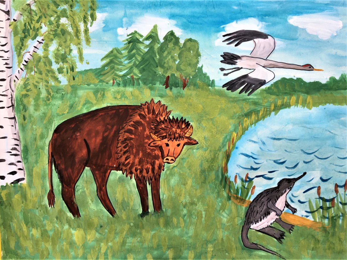 Мир заповедной природы конкурс