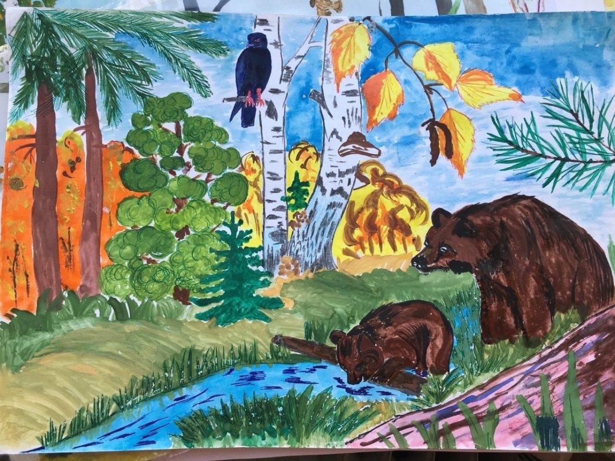 Экосистема заповедника рисунки