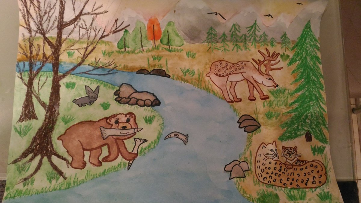 Заповедные места России