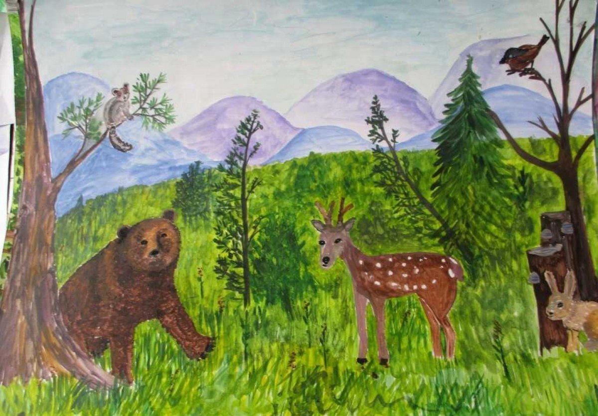 Заповедник рисунок